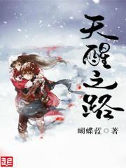 天醒之路路平